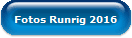Fotos Runrig 2016